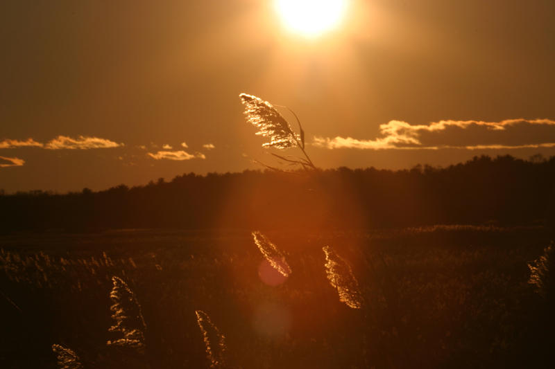 Almost sunset at Salisbury