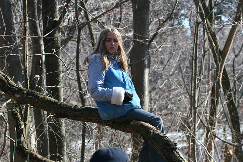 Resting in a tree