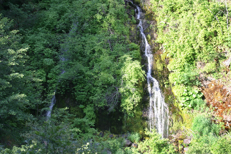 Waterfall behind Herringtons