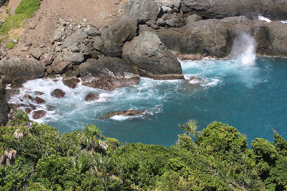 Views from Little Tobago