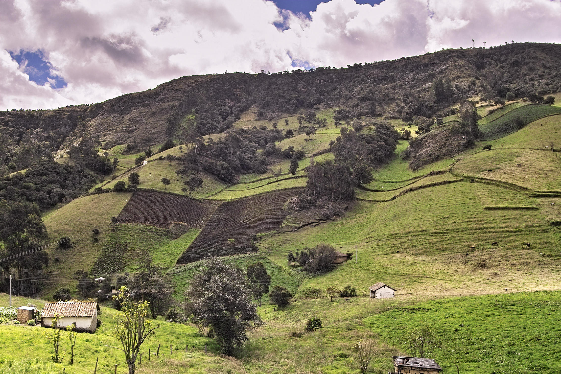 colombian rural iv