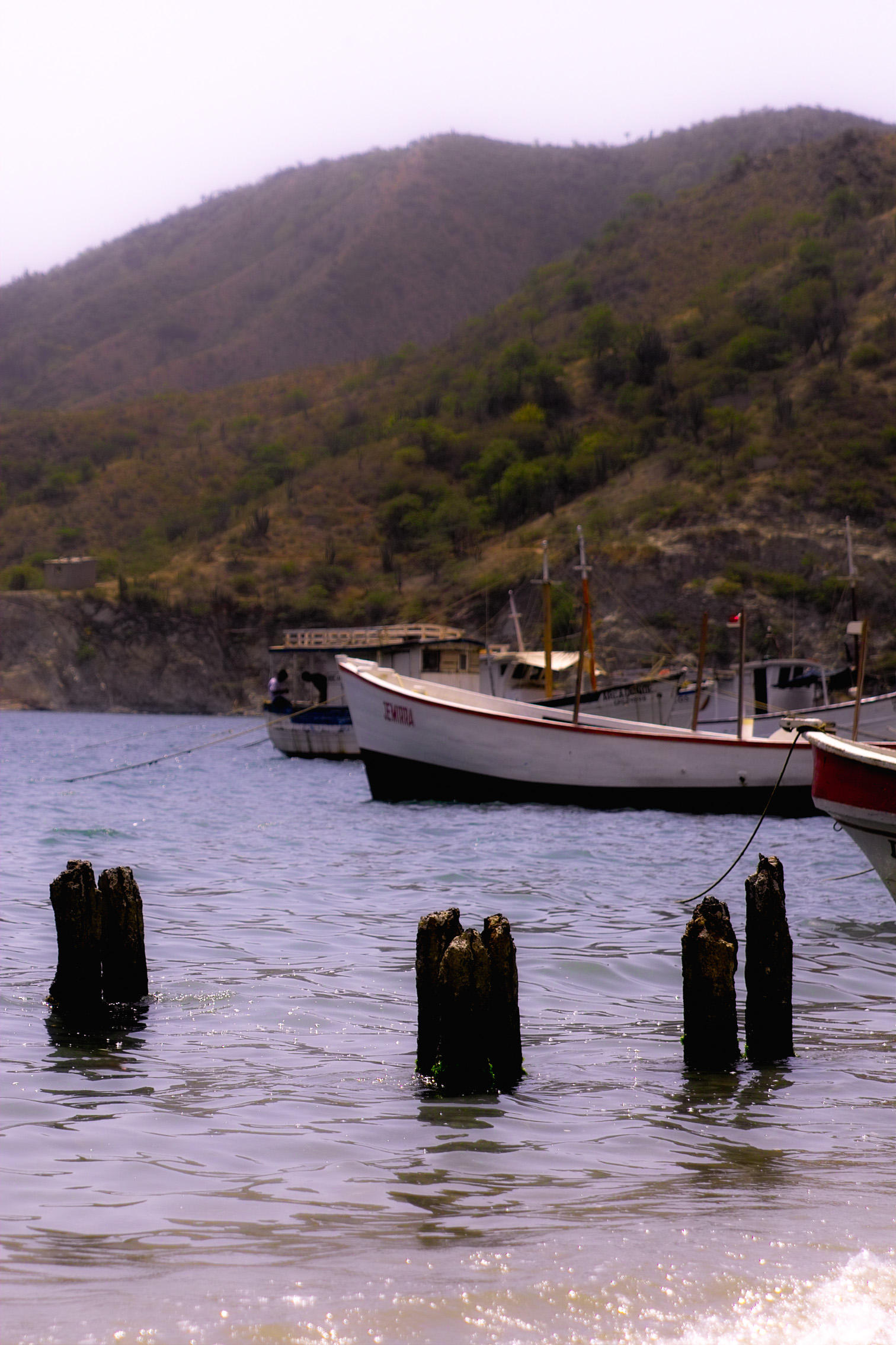 taganga vi