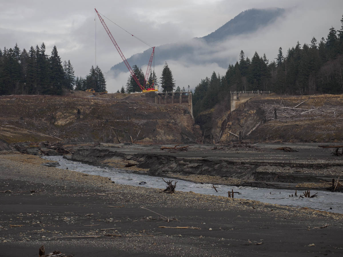 Elwha-24.jpg