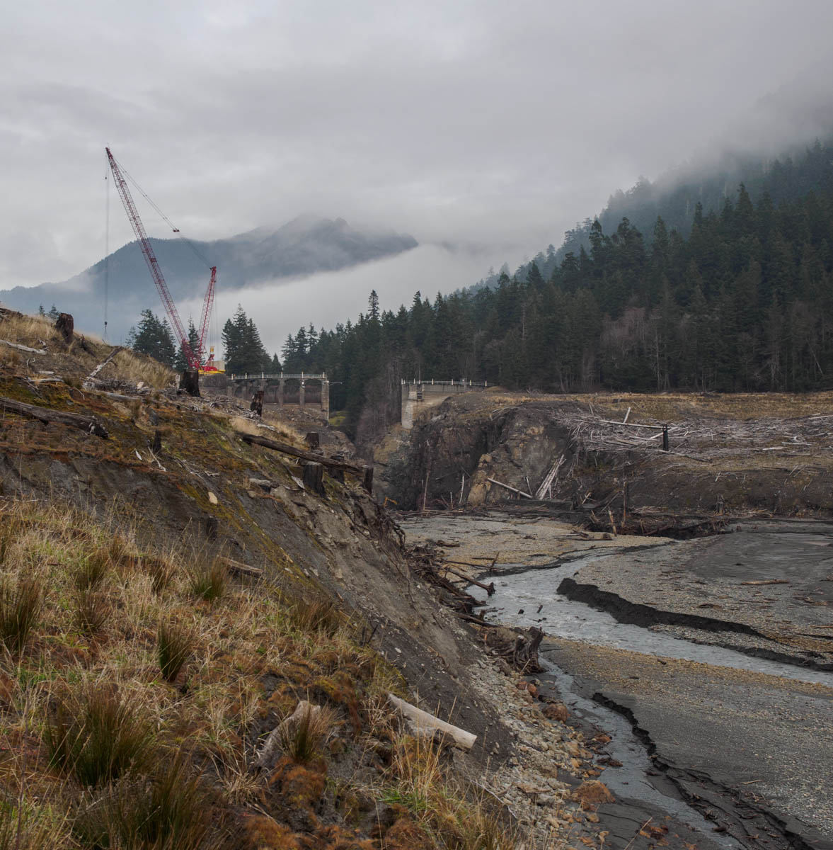 Elwha-26.jpg