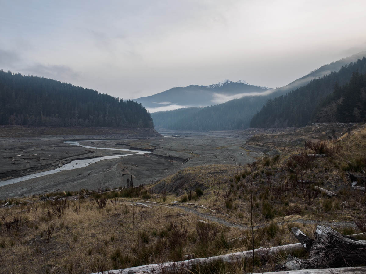 Elwha-27.jpg