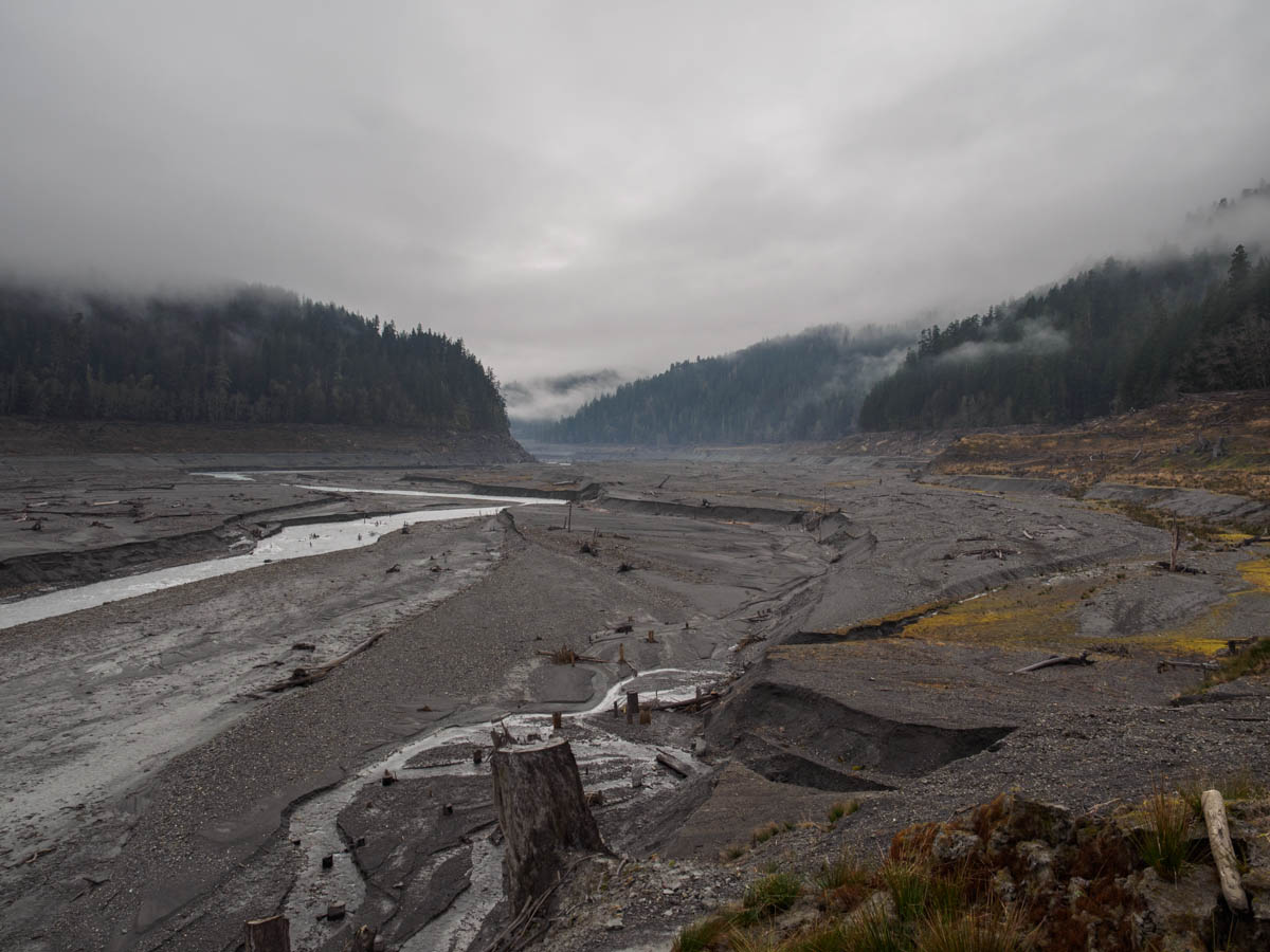 Elwha-4.jpg