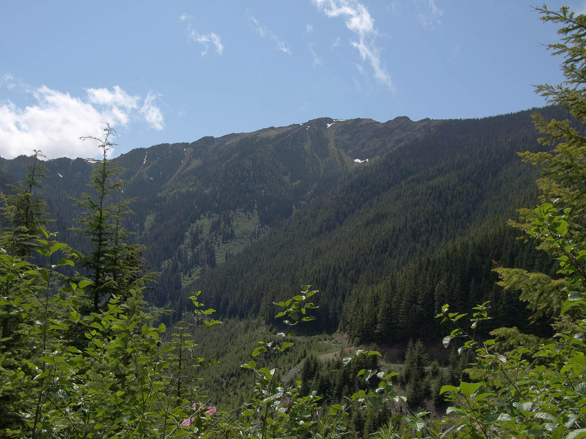 jeffco-4.jpg