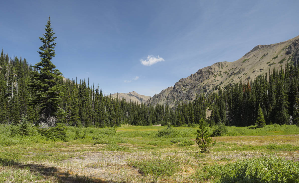 near royal lake