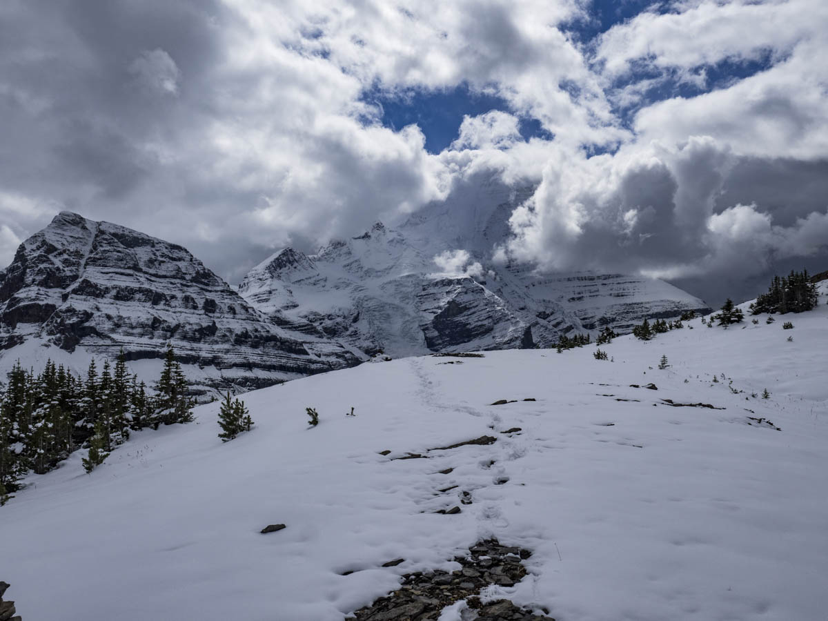 Munn Basin Trail