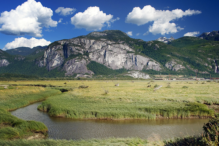 Stawamus Chief