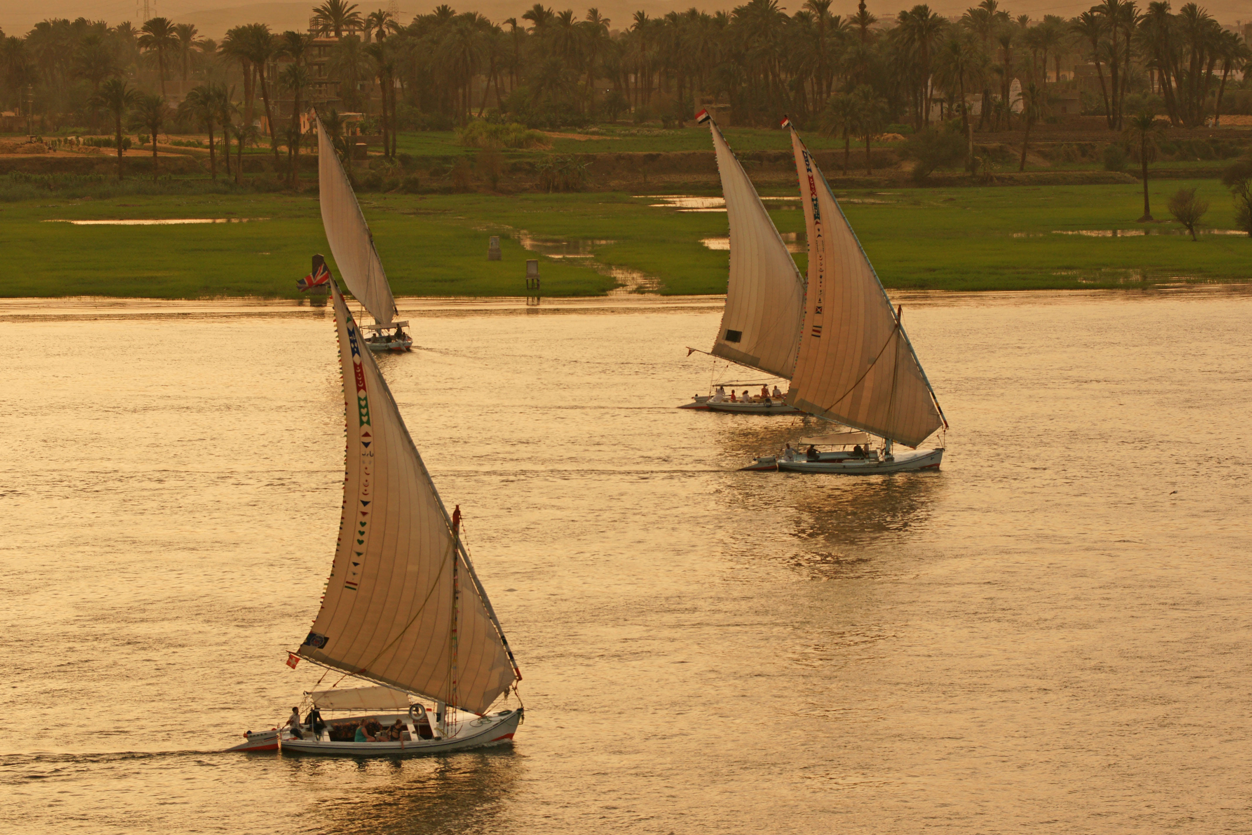Fellucas on the Nile.jpg