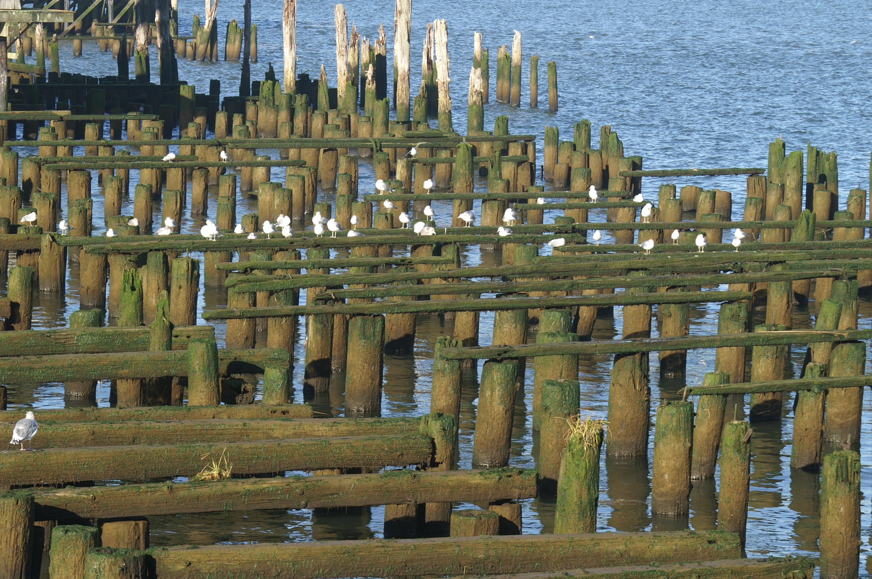 PICT0042.JPG