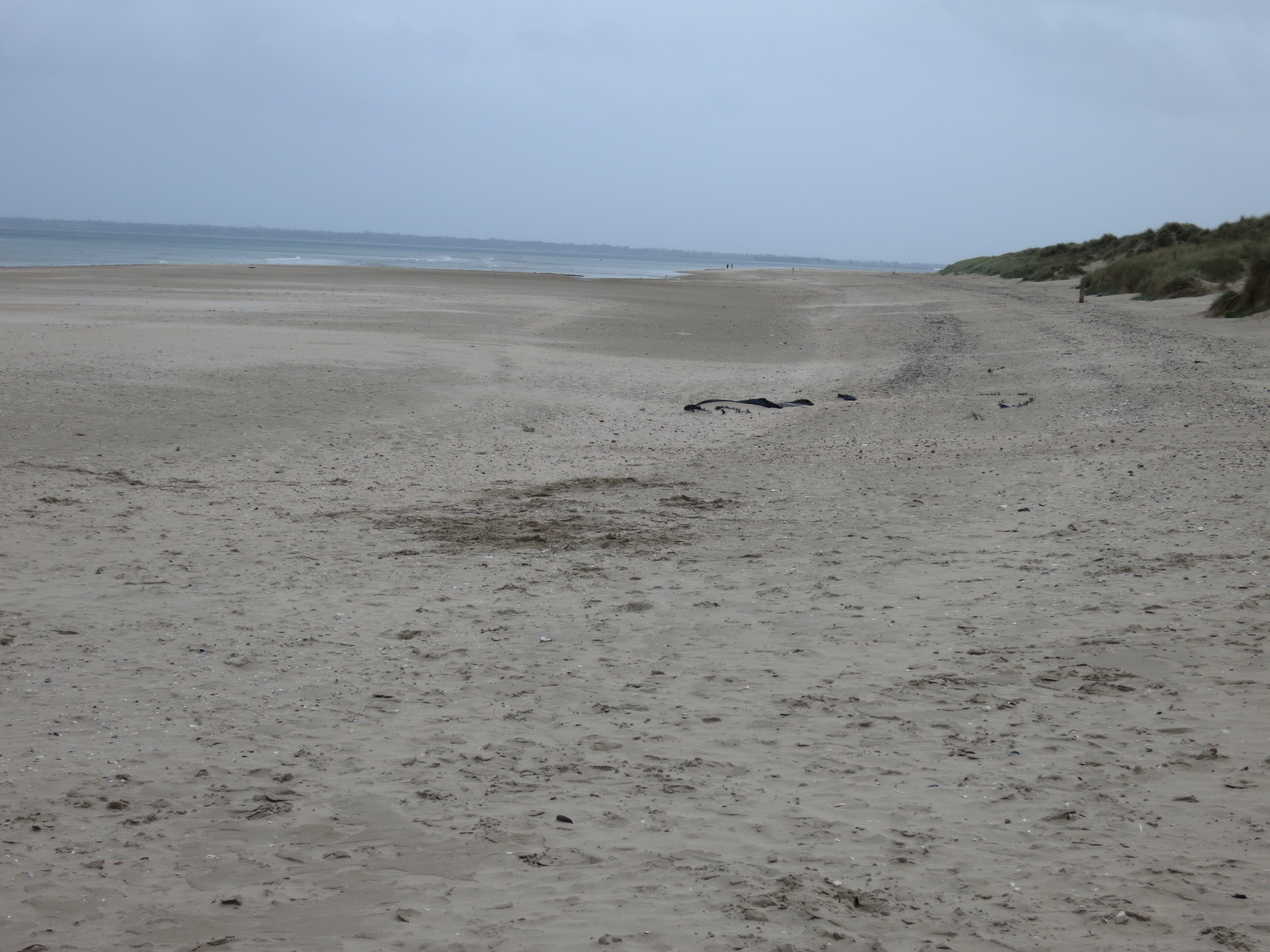 Utah Beach, Normandy
