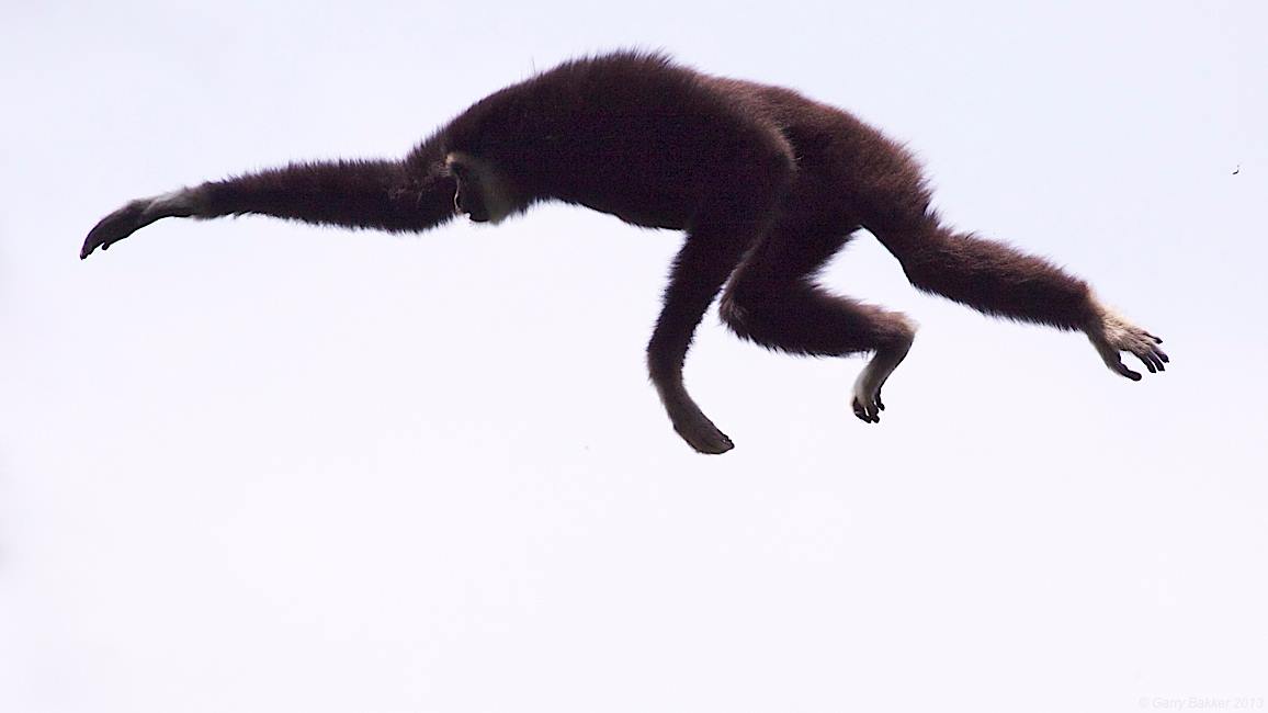 Jump