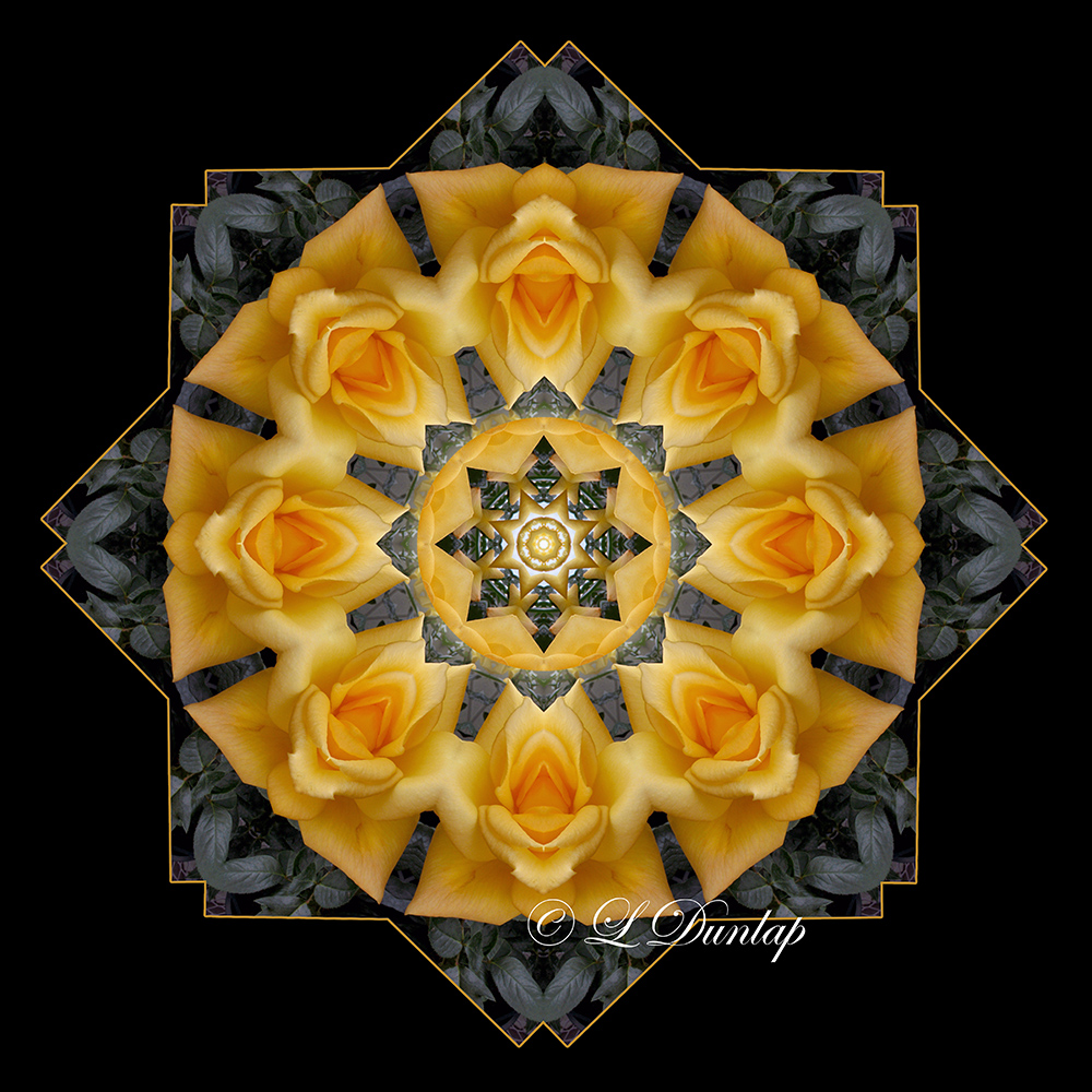 * 14. Gold Rose On Gray Kaleidoscope, Two