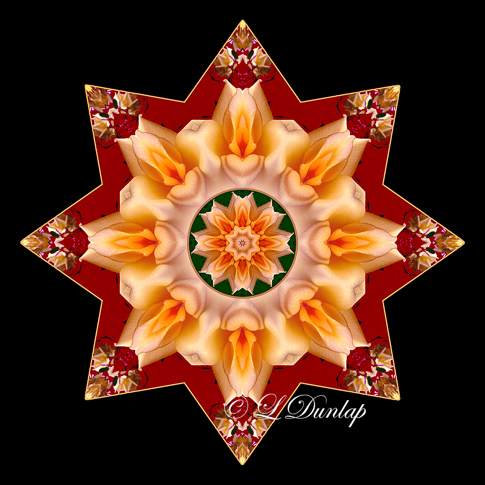 * 7. Gold Rose On Red Kaleidoscope (Holiday Star Variation of #11) 