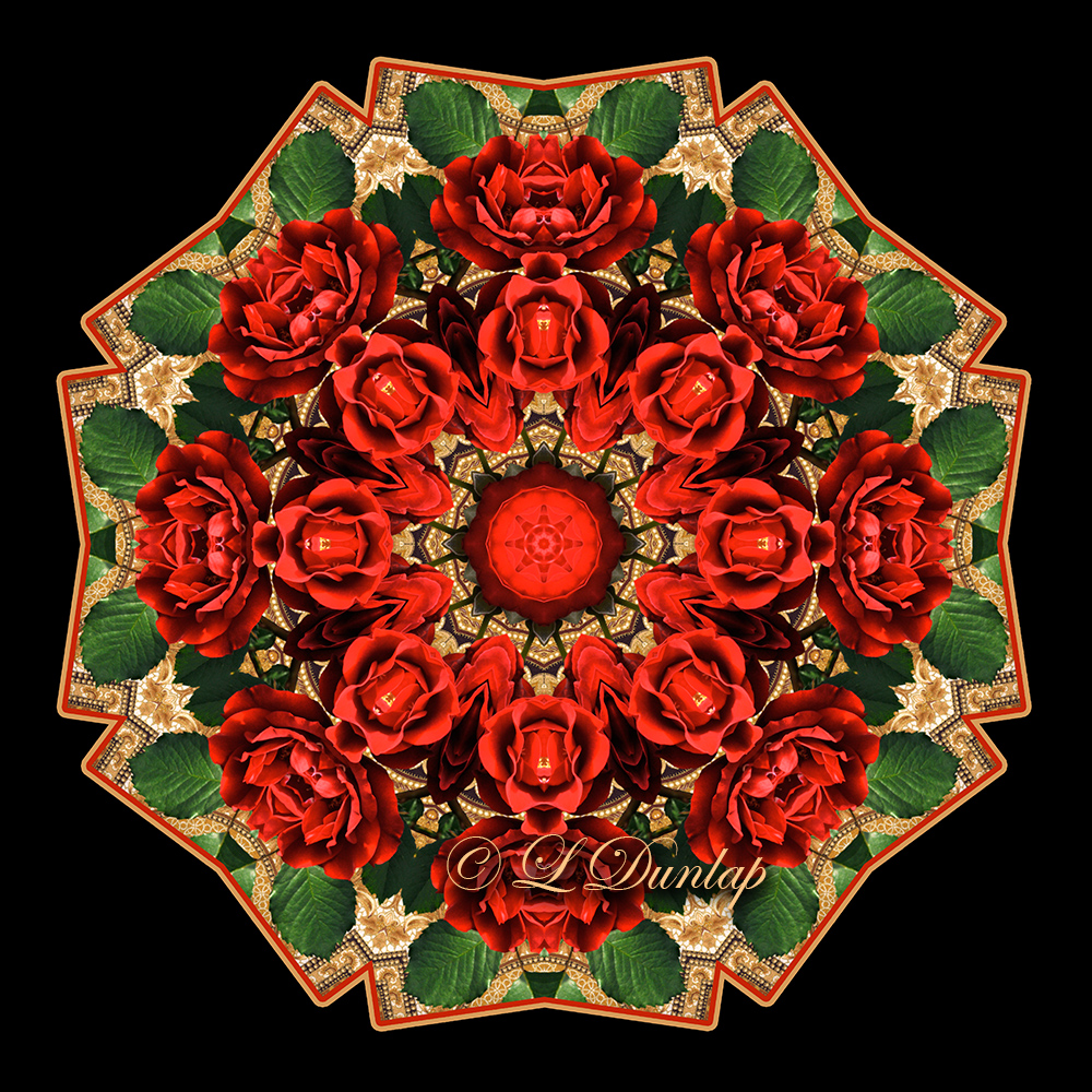 * 2. Holiday Rose With Gold Design Fabric 2 Kaleidoscope