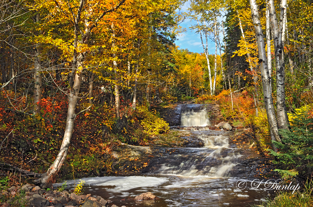 76.12 - Schroeder:  Last Creek, Gold Season