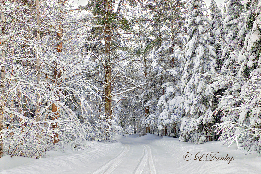 58.12 - Winter: Snow-Covered Lane 