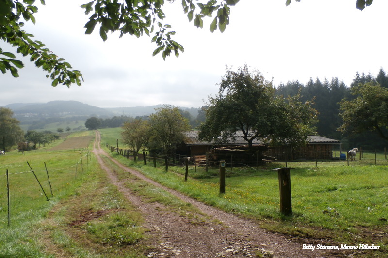 Boven Saarhölzbach