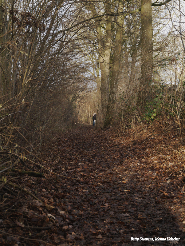 Wandelpad op de Tutenberg, bij Vasse
