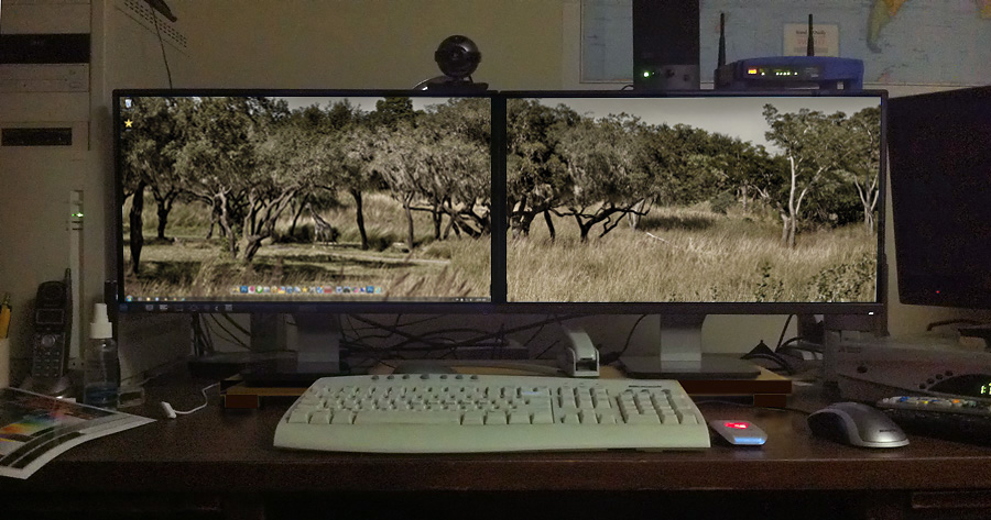 dual monitor wallpaper.jpg