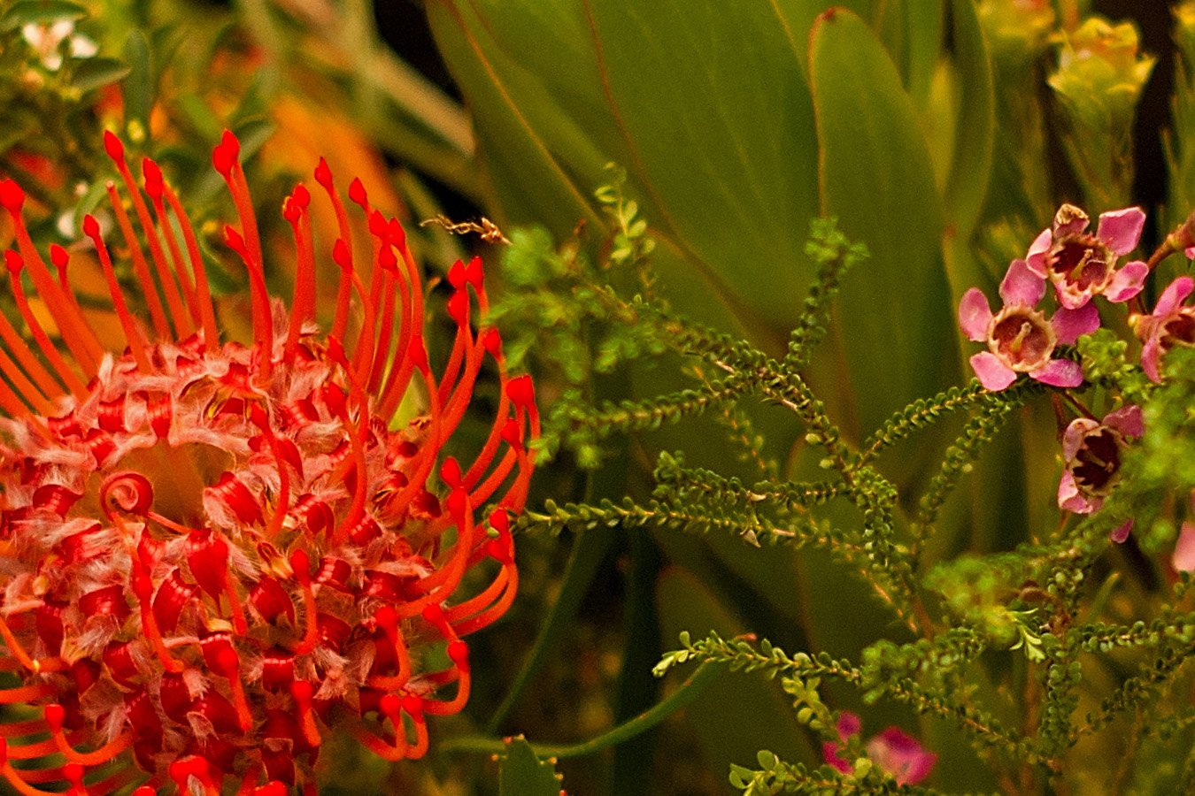DSC05519_web_detail.jpg