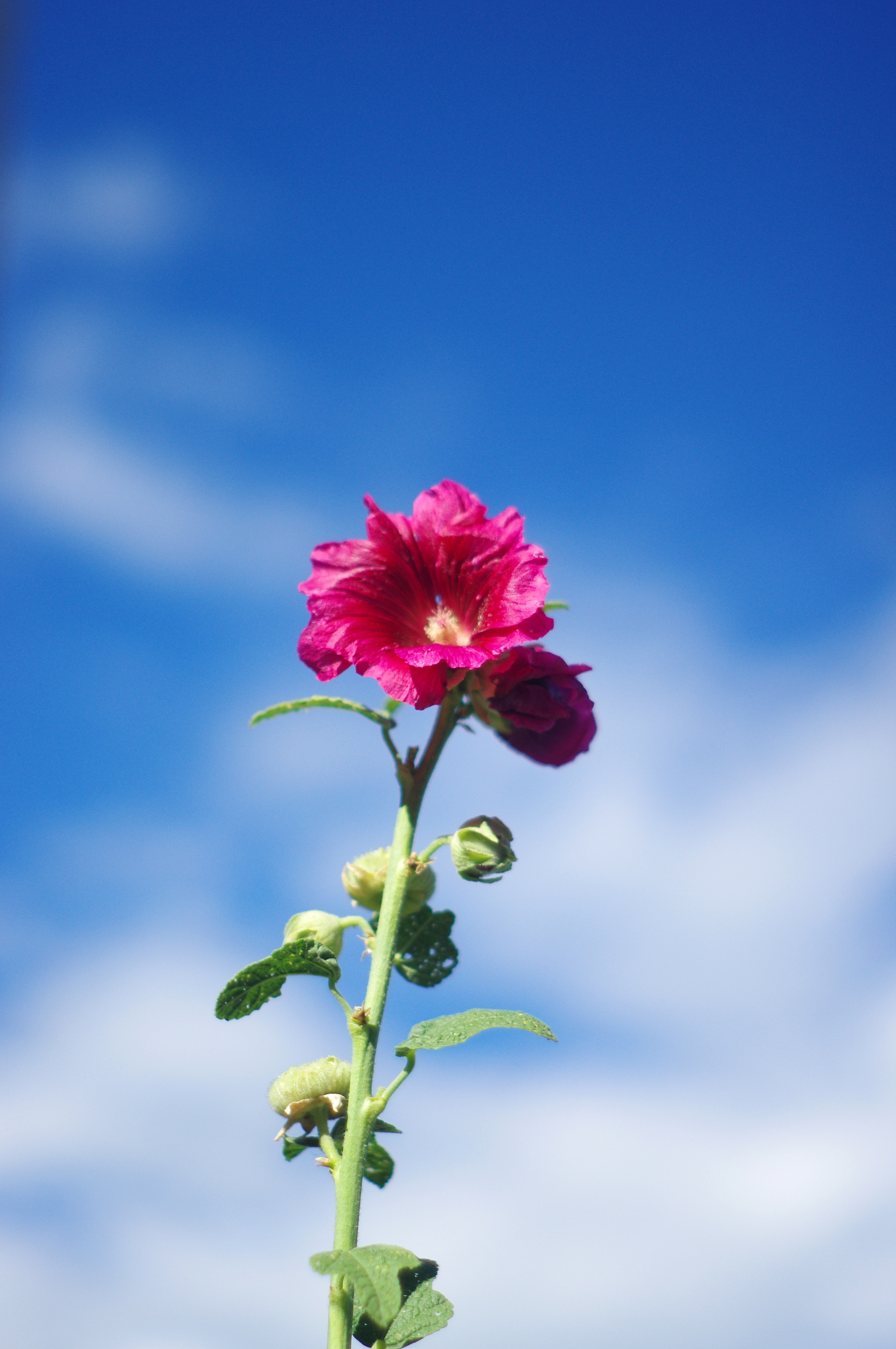 IMGP4145.JPG