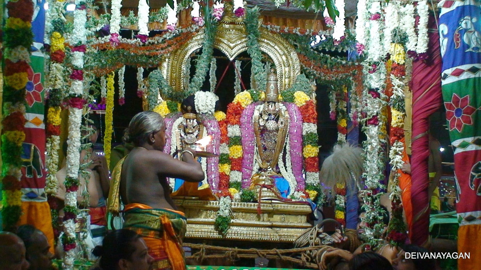 DSC01596.JPG