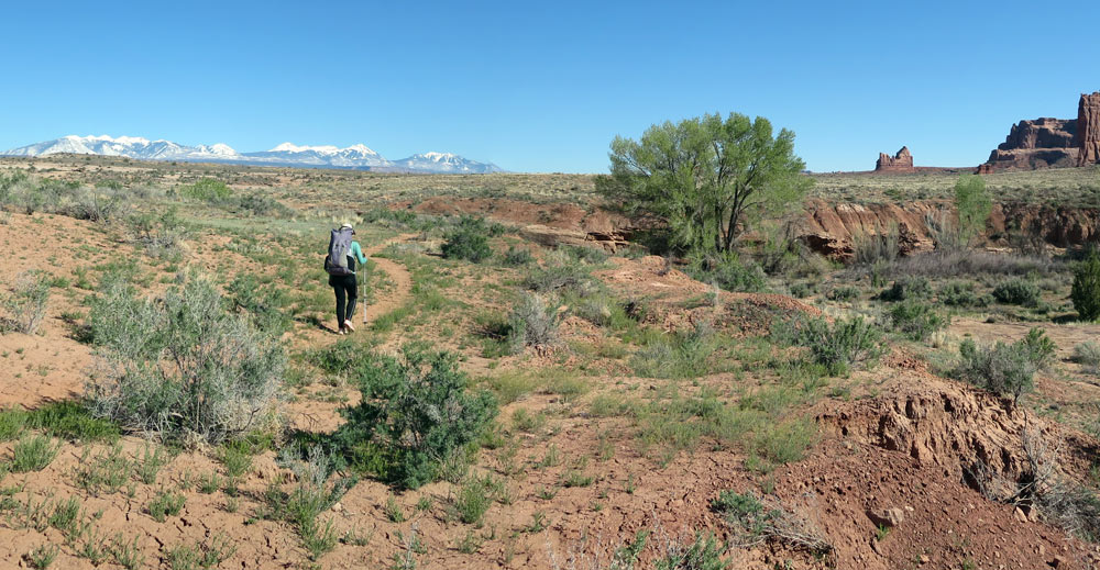 Trail into Courthouse Wash, Arches NP