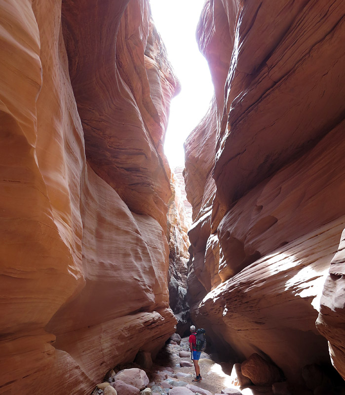 We were able to follow the slot canyon out to the Dirty Devil river