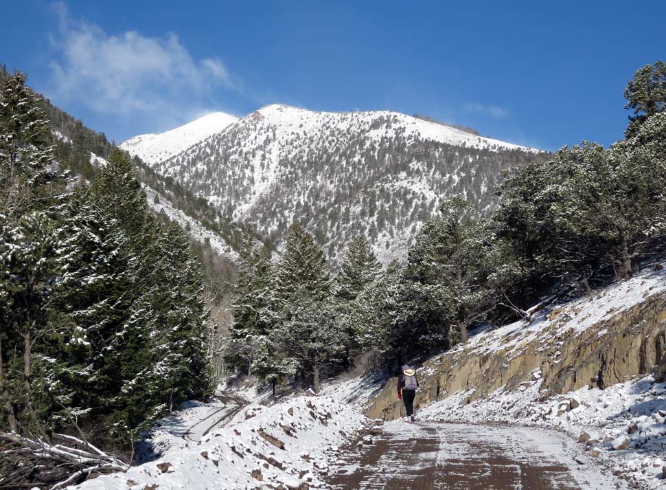 Hiking on jeep tracks the next morning