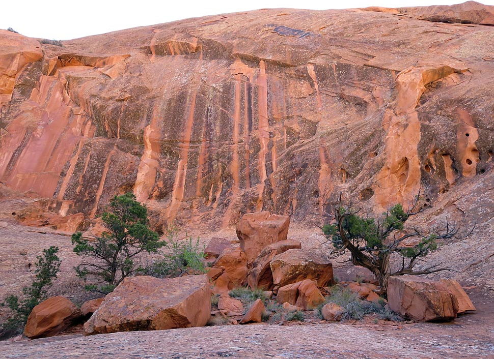 Lower Muley Twist