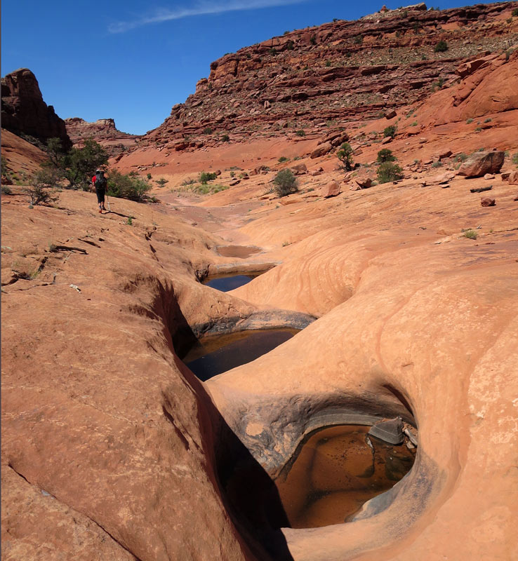 We find water in the potholes