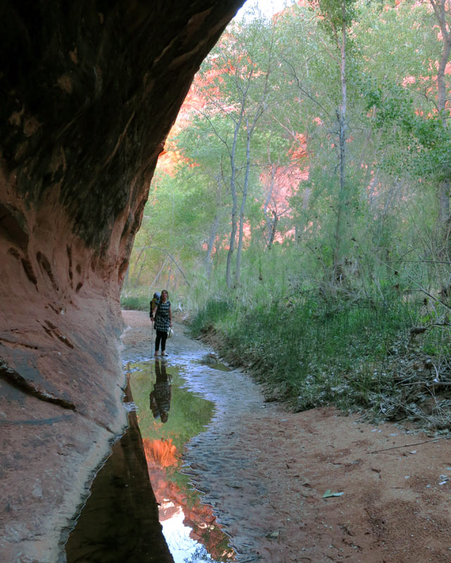 The lower part of Stevens is more green but full of poison ivy