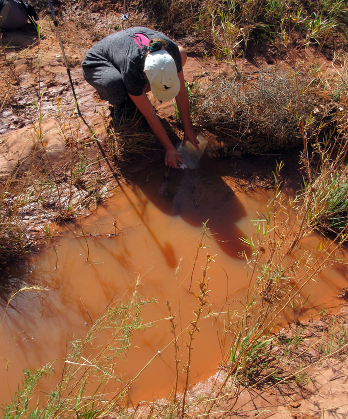 Salt Creek canyon  Muddy water