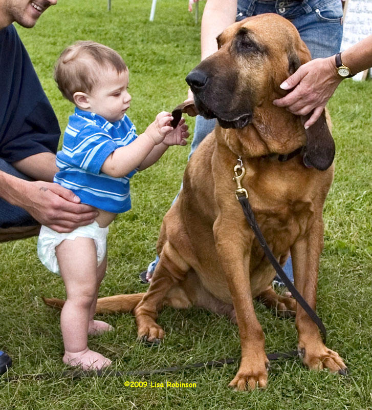 Awww, Those Long Soft Ears ...