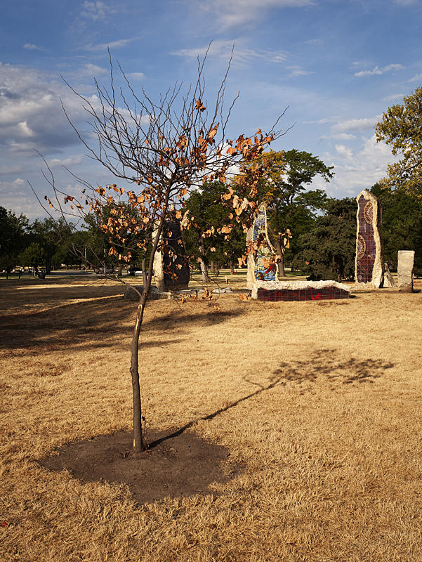 The short-term and long-term effects of severe drought and record heat continue to be felt.