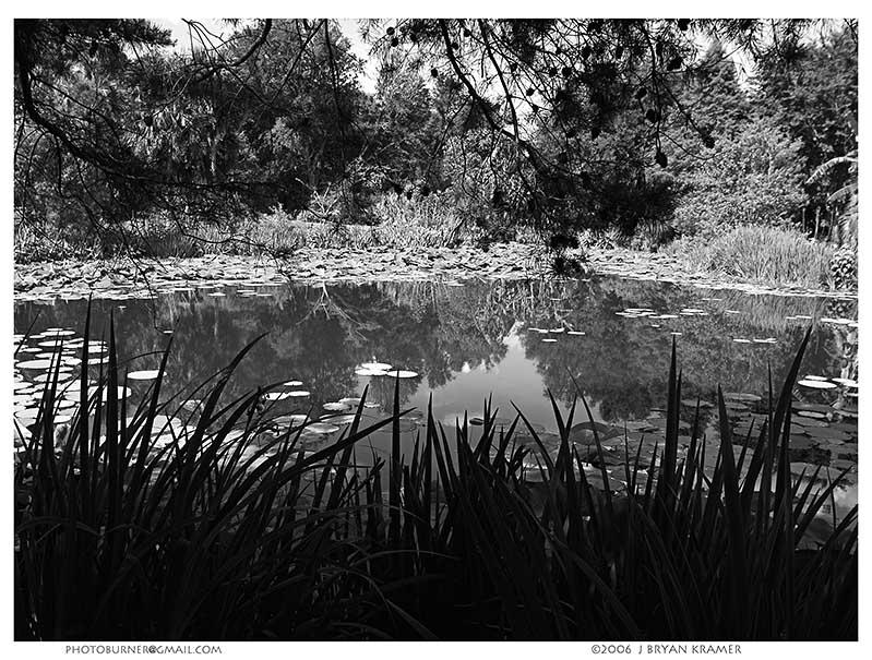 BW converted from color photo