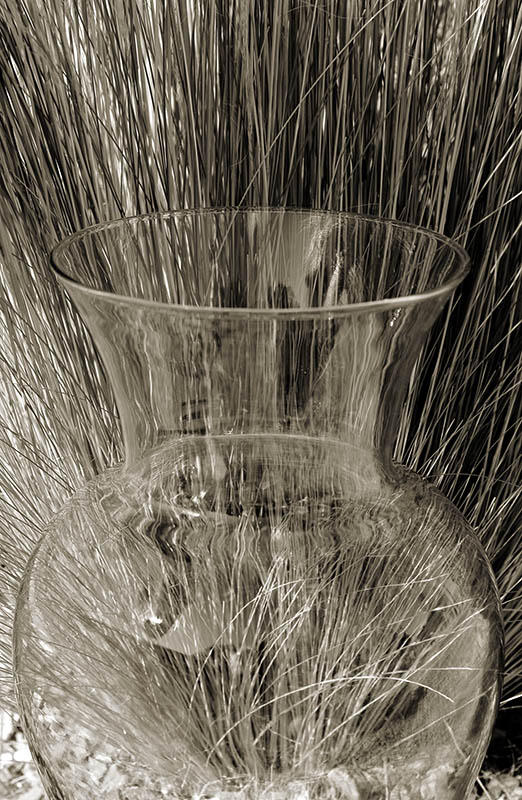 Grass & Glass