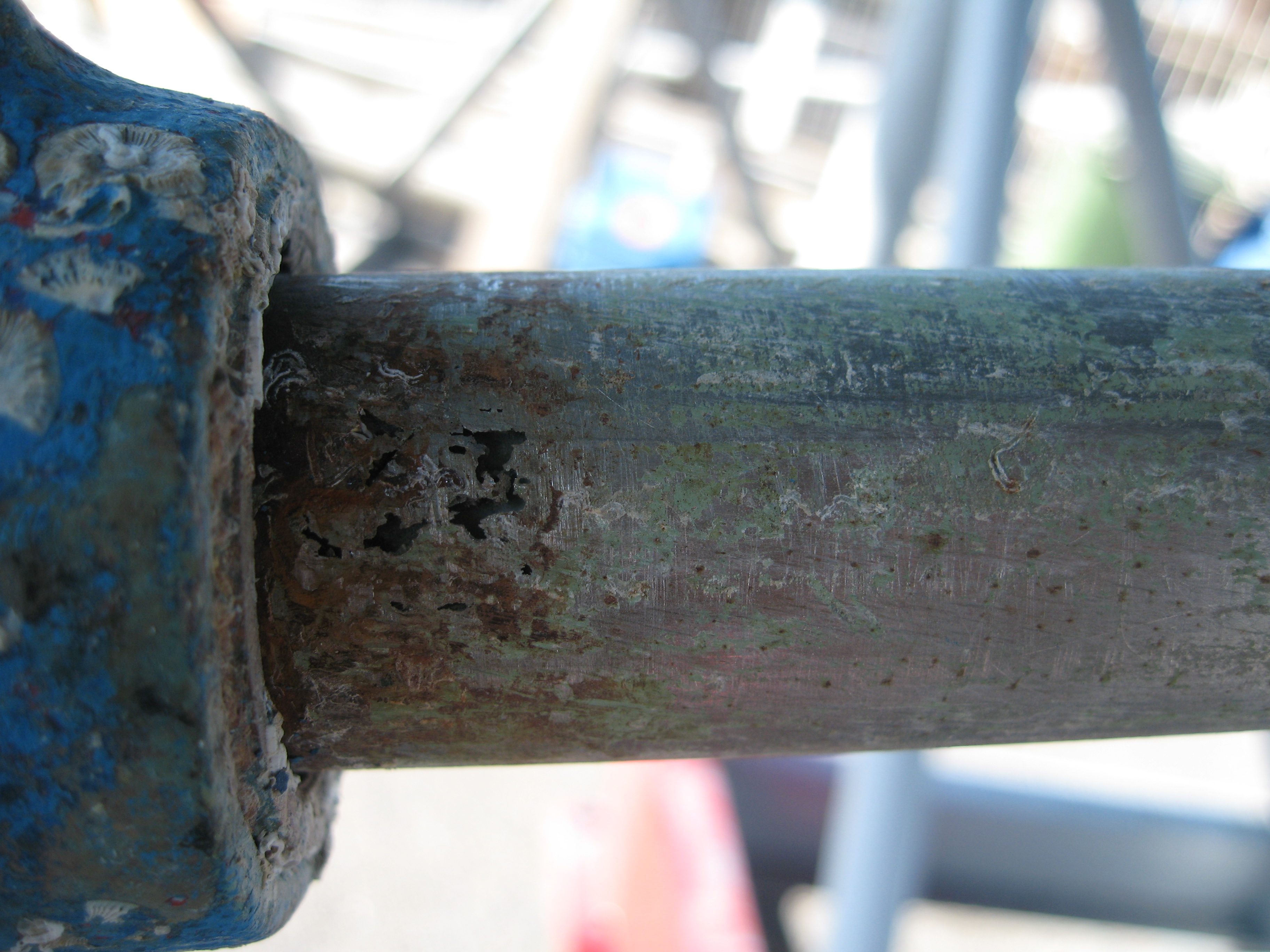 Asse delica - Propeller shaft