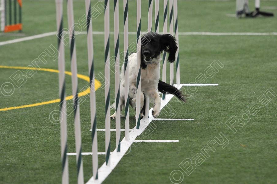 LTT_4315.jpg