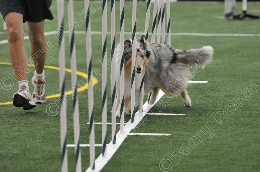 LTT_4326.jpg