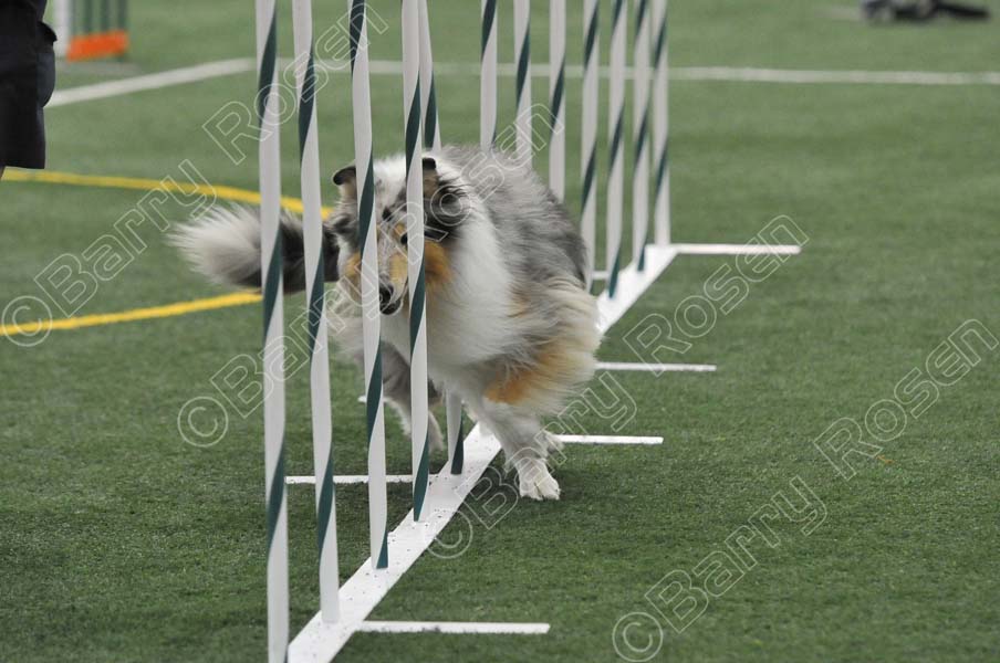 LTT_4328.jpg