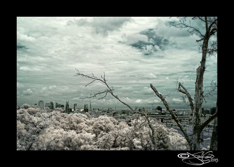 IR Nashville XLIV