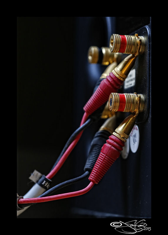 Wired for Sound
