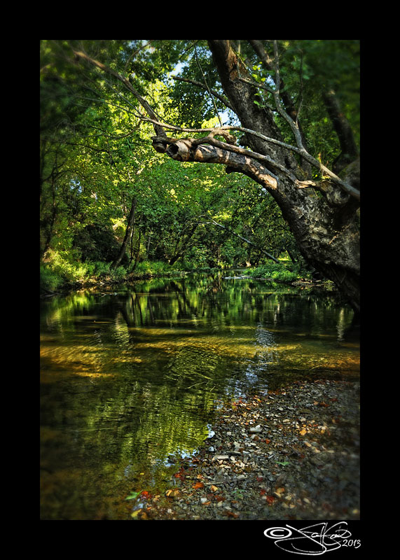 Early Reflections