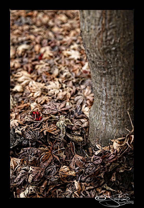 Tree 5