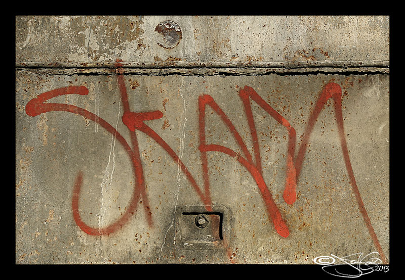 Skam Artist