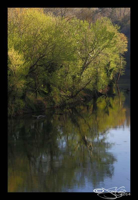 Reflections
